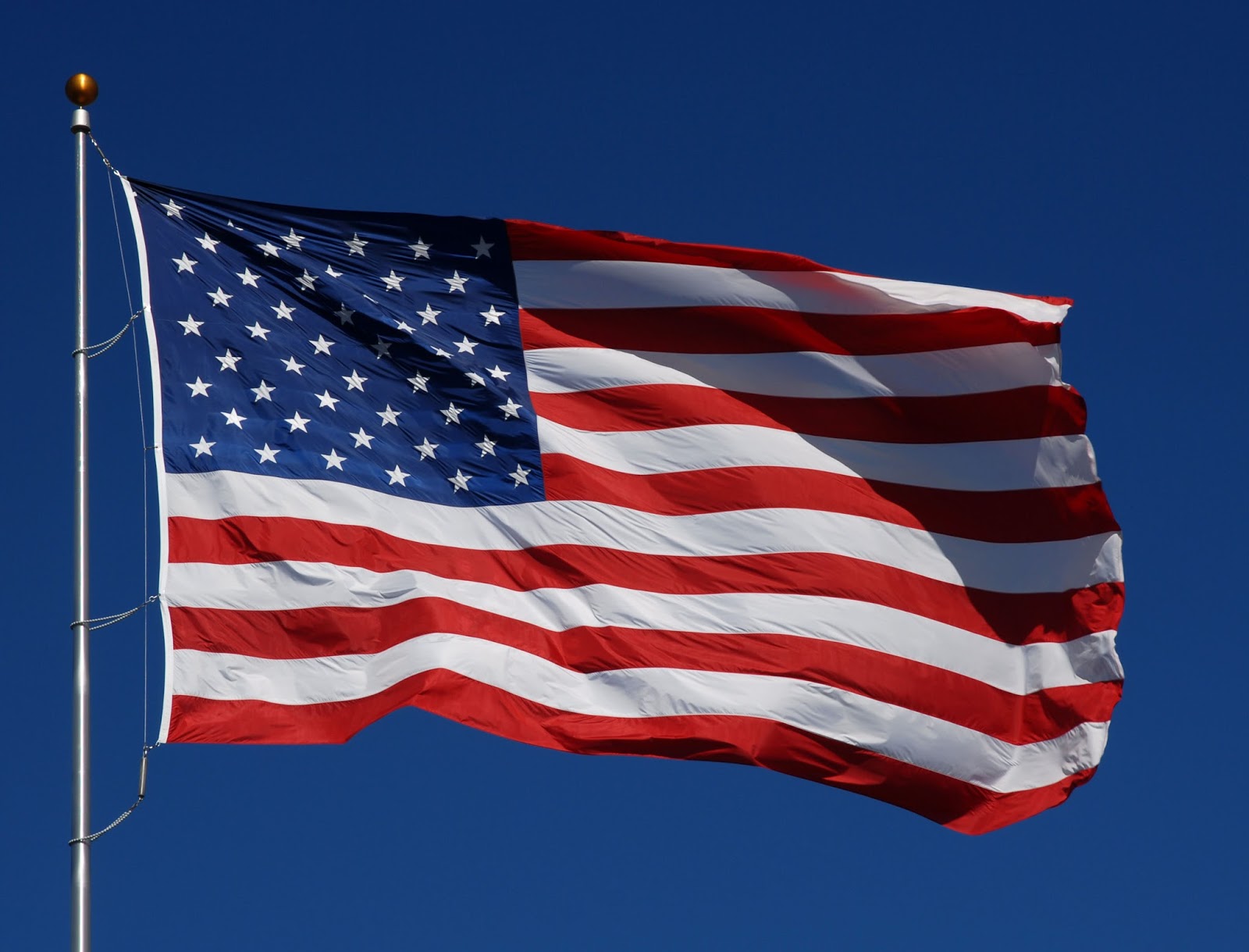 USA Memorial Day Flags Photos