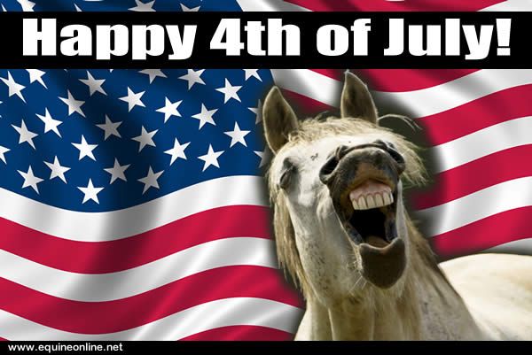 Funny 4th of July Images